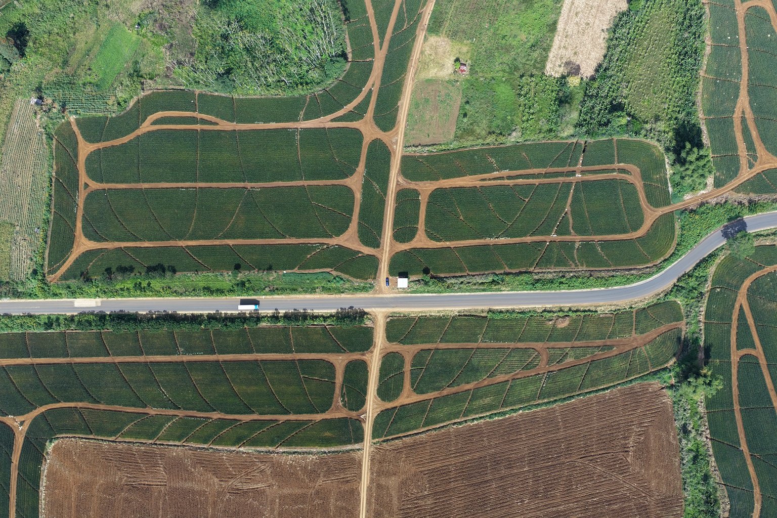 Survey and mapping